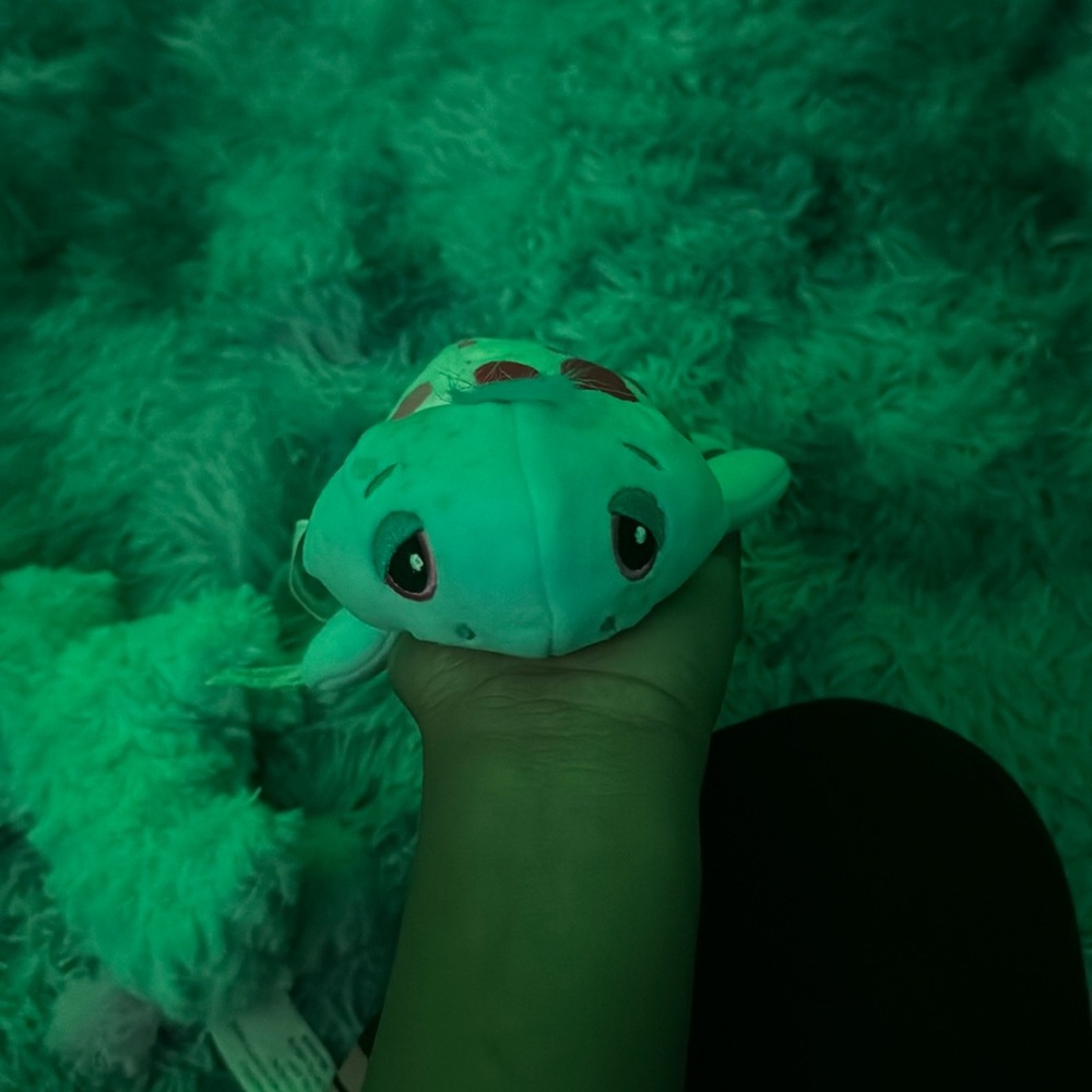 Turtle